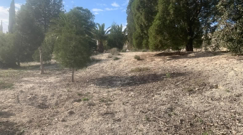 Murcia - Alguazas - 700m2