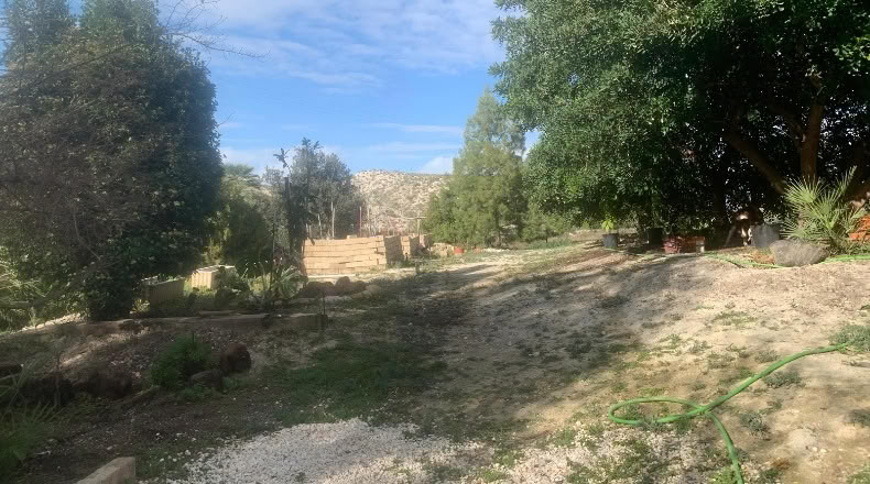 Murcia - Alguazas - 700m2