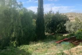 Foto 9