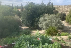 Foto 11