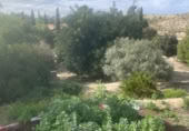 Suelo urbano en venta en la Las Yeseras, Alguazas, ref: TR379056 foto