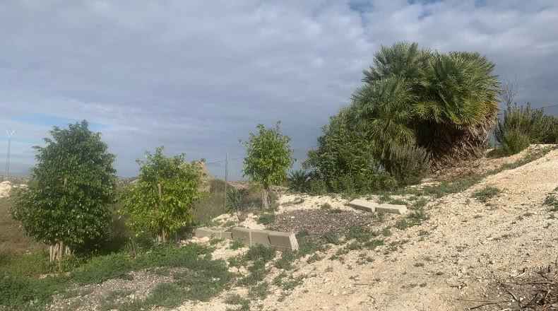 Murcia - Alguazas - 700m2