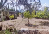 Casa amb terreny en venda a Vilafamés ref.: TR379137 foto