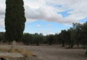 Finca rústica en venta en la Casería del Magistral, Baza, ref: TR379497 foto