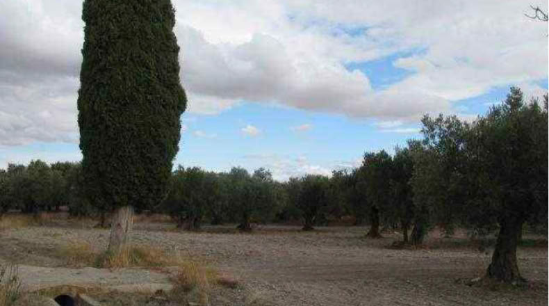 Granada - Baza - 292694m2