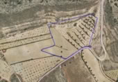 Terreny no urbanitzable en venda a la Paraje de Torre del Rico, Jumella, ref.: TR379504 foto