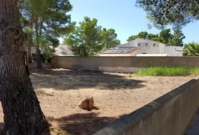 Mont-roig del Camp 625&nbsp;m²