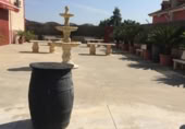 Terreno no urbanizable en venta en la Camino Cañada del Amarguillo, Sanlúcar de Barrameda, ref: TR379505 foto