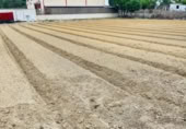 Terreno no urbanizable en venta en la Camino Cañada del Amarguillo, Sanlúcar de Barrameda, ref: TR379505 foto