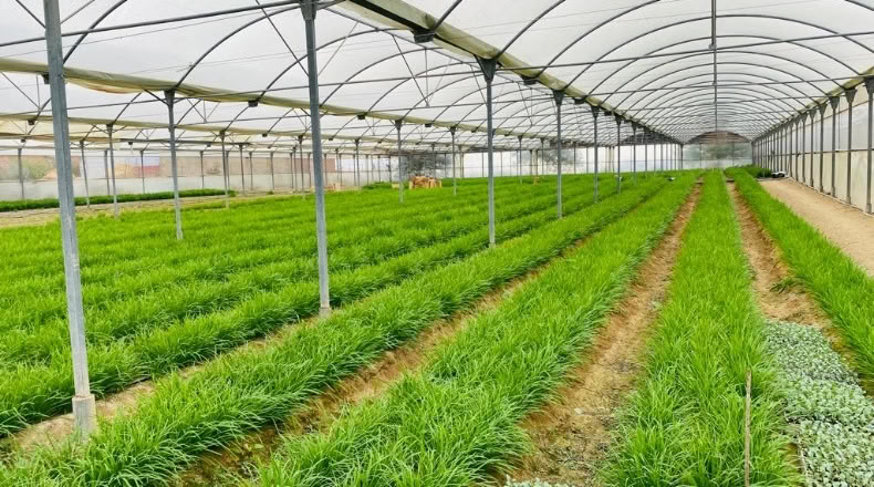 Cádiz - Sanlúcar de Barrameda - 6000m2