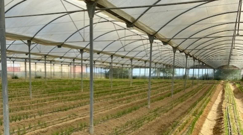 Cádiz - Sanlúcar de Barrameda - 6000m2