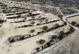 Jumella 27810&nbsp;m² 
