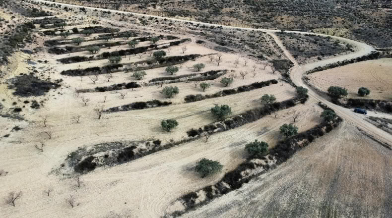 Murcia - Джумилла - 27810m2