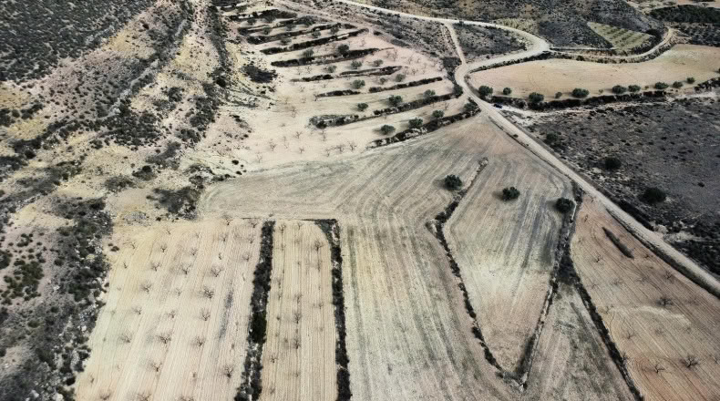 Murcia - Джумилла - 27810m2