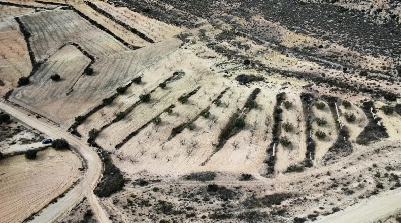 Murcia - Джумилла - 27810m2