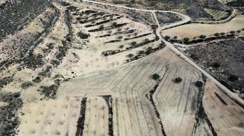 Murcia - Джумилла - 27810m2