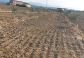 Land with storage building for rent on Ronda del arroyó n19, Valdeiglesias, ref: TR379583 photo