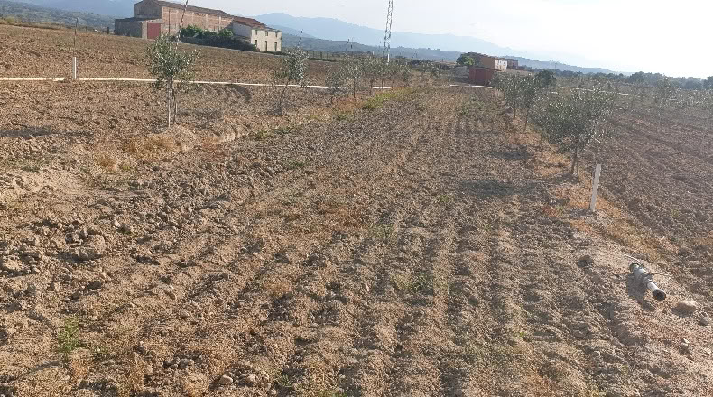 Leon - Valdeiglesias - 20000m2