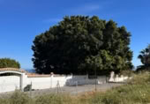 Urban land for sale on Calle Nogal, Salobreña, ref: TR379582 photo