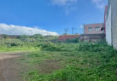 Land suitable for development for sale on Calle José Benítez Padrón, Santa María de Guía de Gran Canaria, ref: TR379580 photo