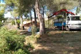 Foto 7