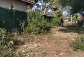 Foto 8