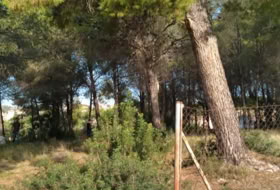 Foto 9
