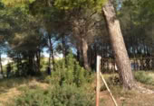 Suelo urbano en venta en la Carrer de les Acàcies, Cunit, ref: TR379594 foto