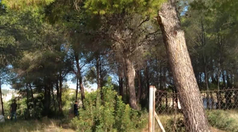 Tarragona - Cunit - 1053m2