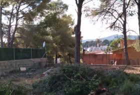 Foto 13