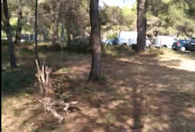 Foto 14