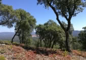 Suelo urbano en venta en la Carrer Cornisa, Llagostera, ref: TR379642 foto