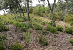 Llagostera 637&nbsp;м²