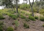 Suelo urbano en venta en la Carrer Cornisa, Llagostera, ref: TR379642 foto