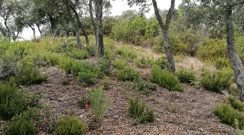 Gerona - Llagostera - 637m2
