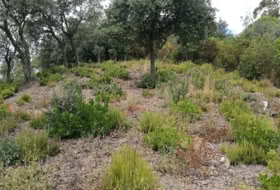 Llagostera 637&nbsp;м²