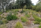 Suelo urbano en venta en la Carrer Cornisa, Llagostera, ref: TR379642 foto