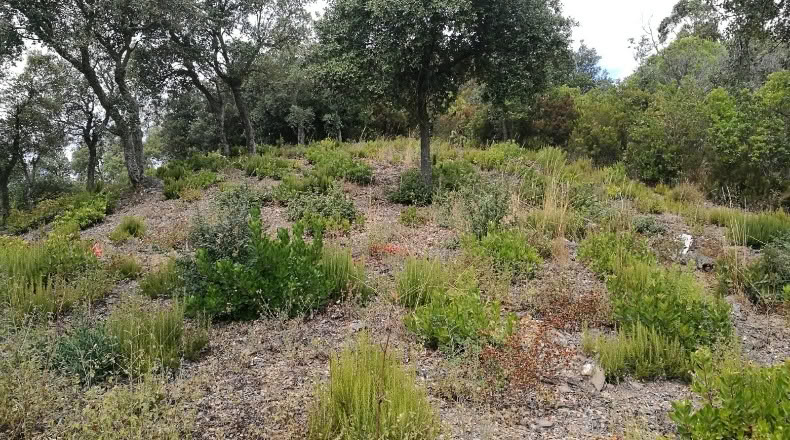 Gerona - Llagostera - 637m2