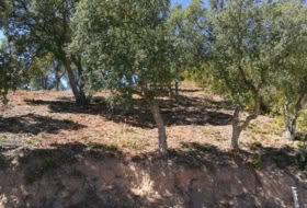 Llagostera 637&nbsp;м²