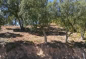 Suelo urbano en venta en la Carrer Cornisa, Llagostera, ref: TR379642 foto
