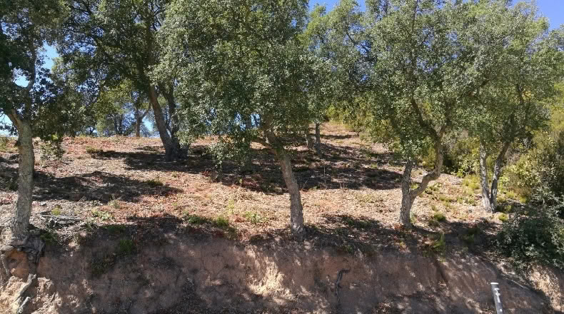 Gerona - Llagostera - 637m2