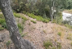 Llagostera 637&nbsp;м²