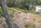 Suelo urbano en venta en la Carrer Cornisa, Llagostera, ref: TR379642 foto