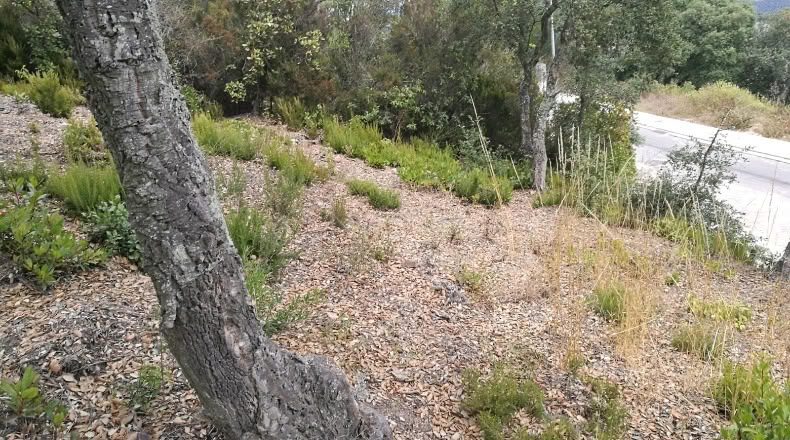 Gerona - Llagostera - 637m2