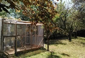 Sant Vicenç de Camós 3396&nbsp;m² 