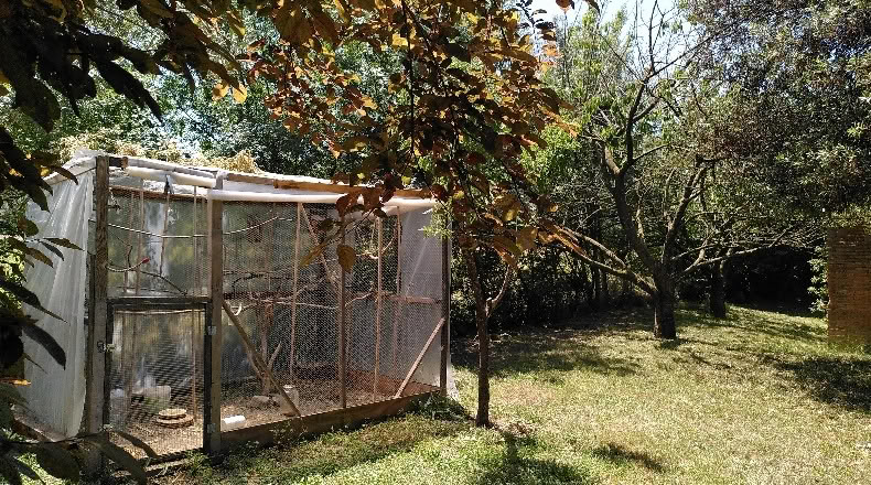 Жирона - Sant Vicenç de Camós - 3396m2