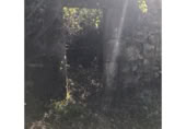 Terreno con Ruinas en venta en Redondela ref: TR381451 foto