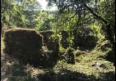 Terreno con Ruinas en venta en Redondela ref: TR381451 foto