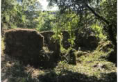 Terreno con Ruinas en venta en Redondela ref: TR381451 foto