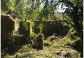 Terreno con Ruinas en venta en Redondela ref: TR381451 foto